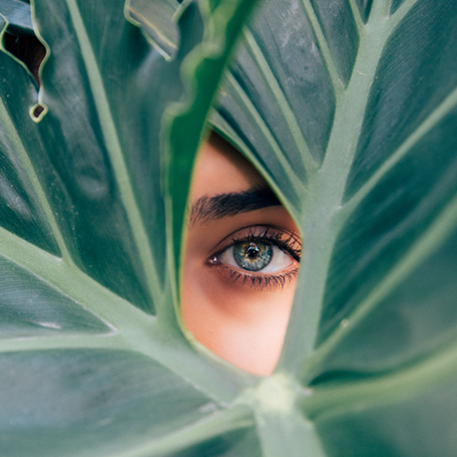 cropped-das-Auge_1000pxhoch